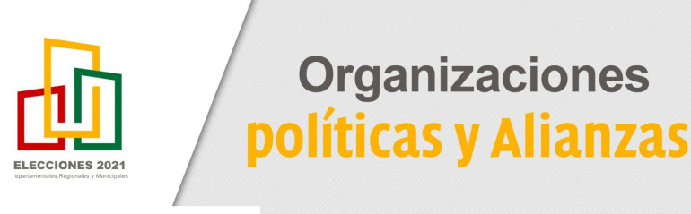 organizaiconespolíticas_770X410